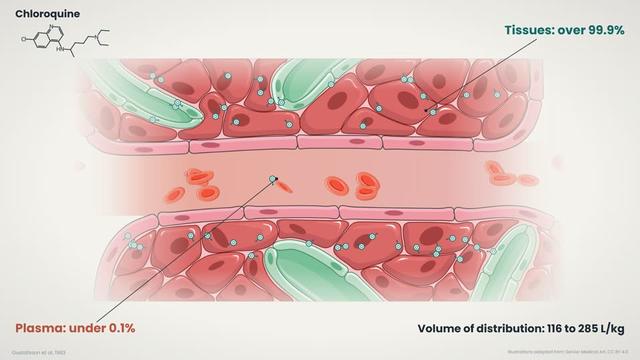 Binding in plasma and tissues