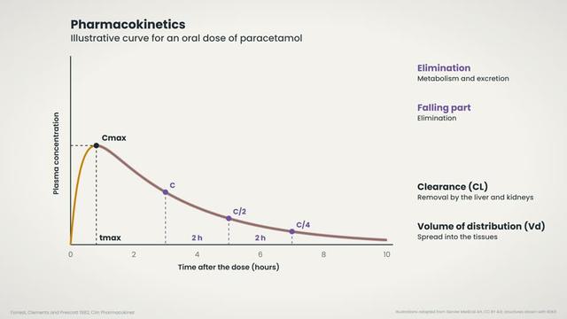 The plasma concentration curve