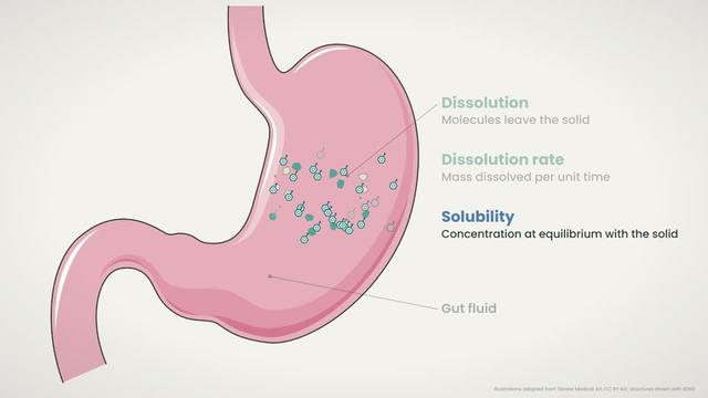 Dissolution and solubility