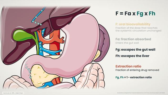 First-pass metabolism