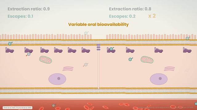 Extraction and variability