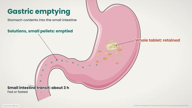 Gastric emptying