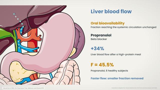 Liver blood flow