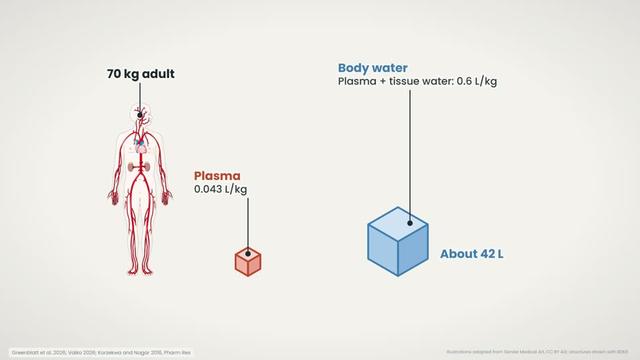 What is volume of distribution?