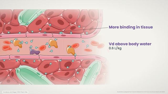 Binding in tissue