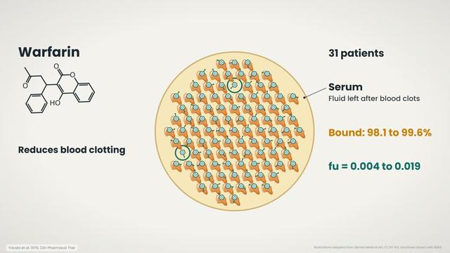 Protein binding and fu