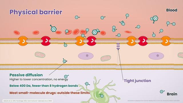 The physical barrier