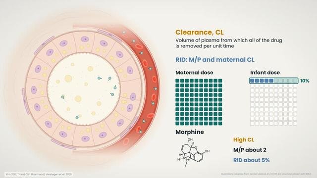 Maternal clearance