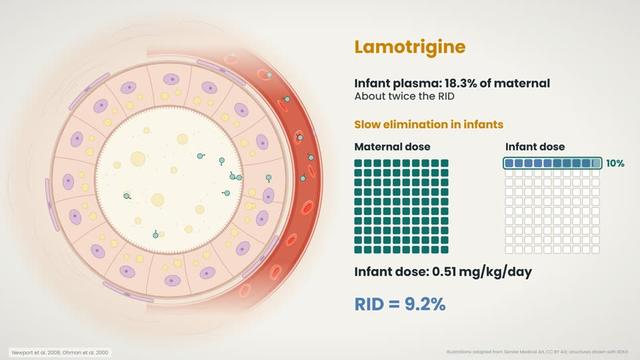 Lamotrigine