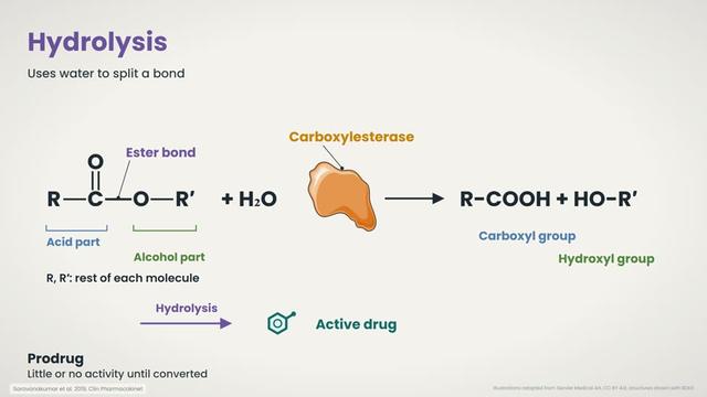 Reduction and hydrolysis