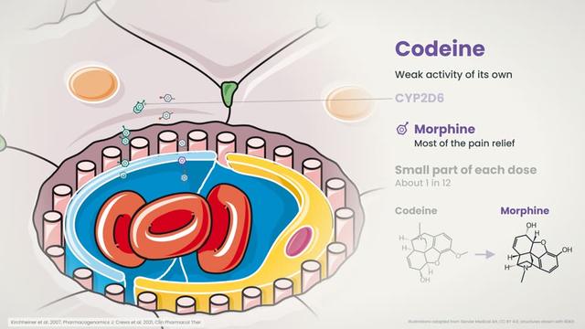 Codeine