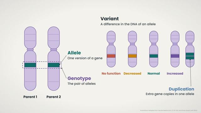 Pharmacogenetics