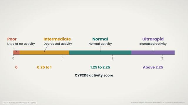 The CPIC activity score