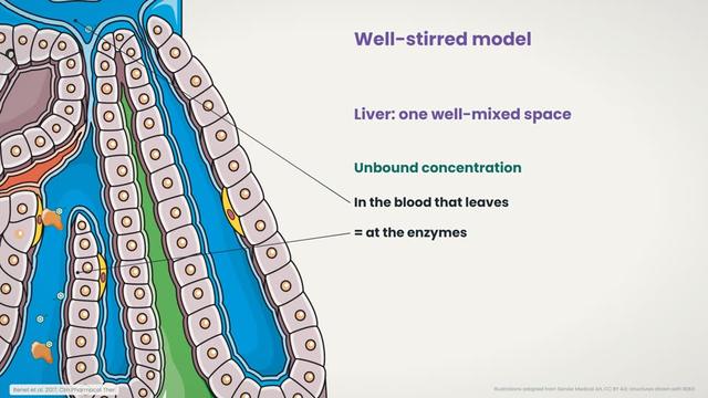 The well-stirred model