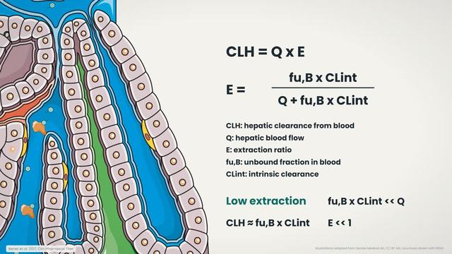 High- and low-extraction drugs