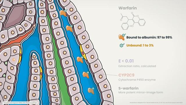 Warfarin