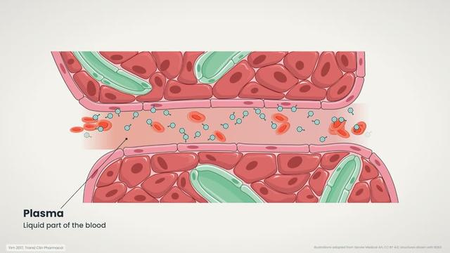 Metabolism, excretion and elimination