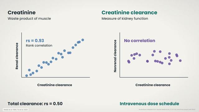 Kidney function and clearance