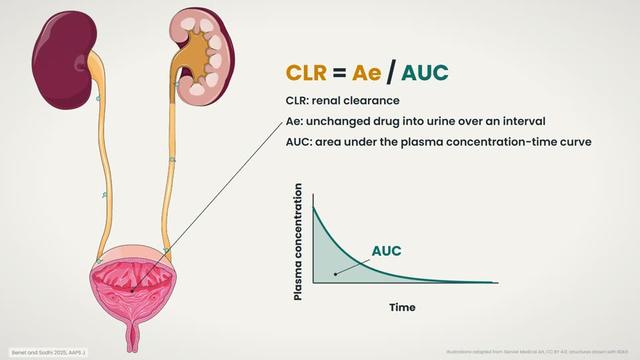 Renal clearance