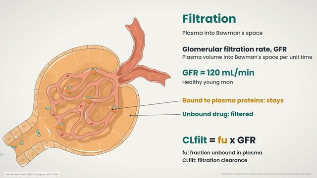 Filtration