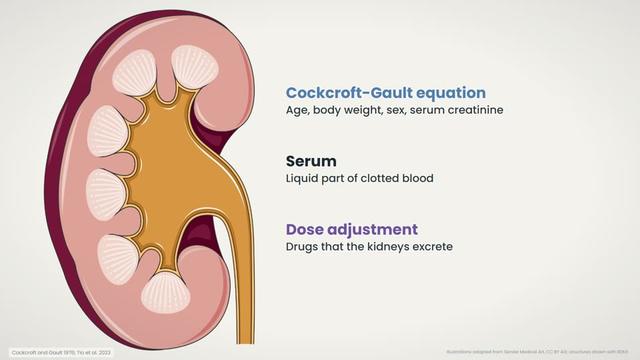 Creatinine clearance