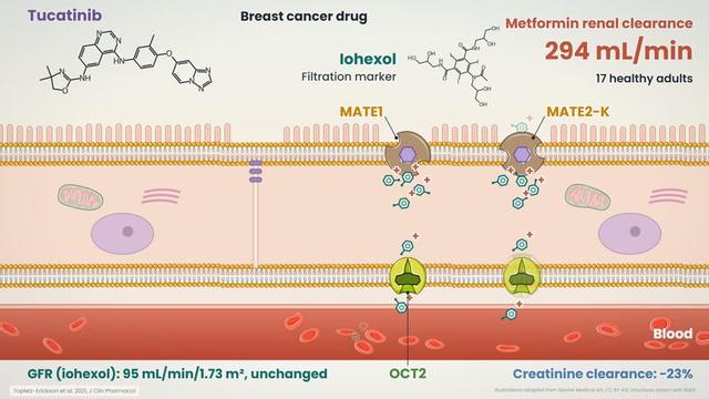 Tucatinib and metformin