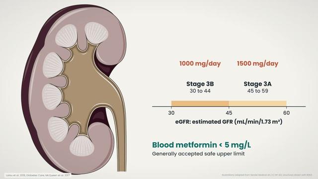 Kidney disease and the metformin dose