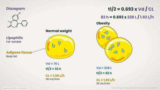 Diazepam in obesity