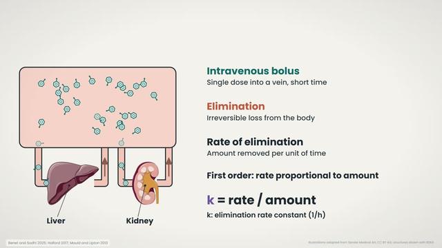 Bolus dose and elimination