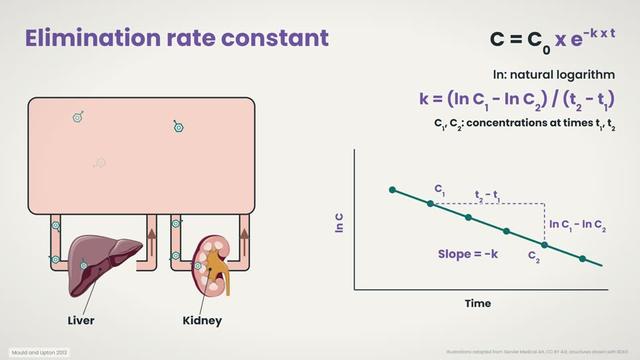 Elimination rate constant