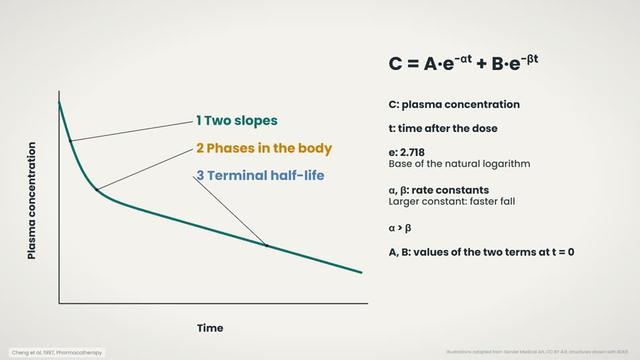 The two-exponential equation