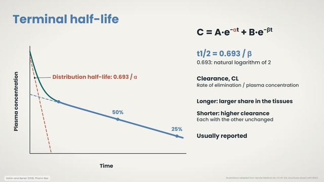 The terminal half-life