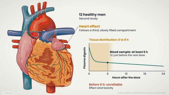 Time of the blood sample