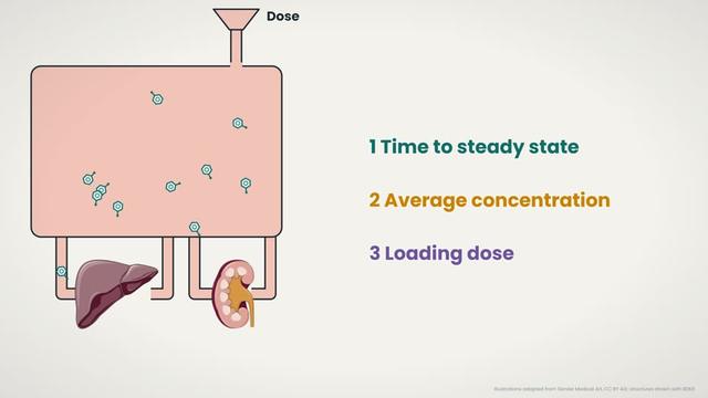 Definition of a loading dose