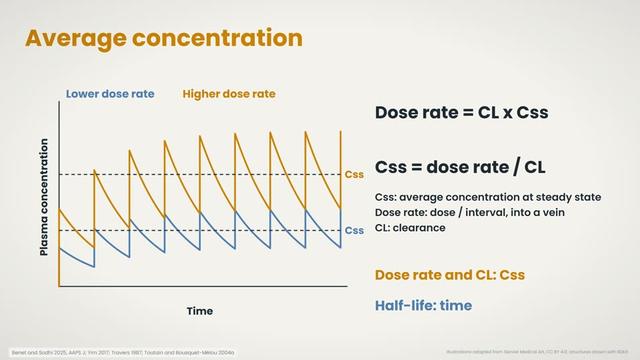 Average concentration at steady state