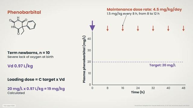 Phenobarbital: loading dose