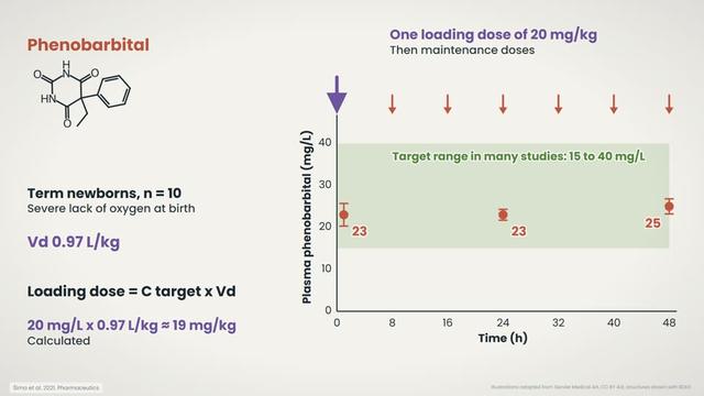 Phenobarbital: measured concentrations