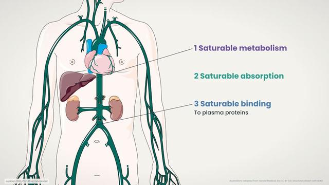 Three causes of nonlinear pharmacokinetics