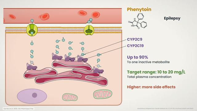 Phenytoin
