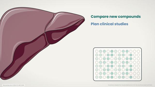 In vitro ADME assays
