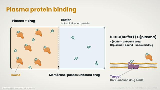 Plasma protein binding