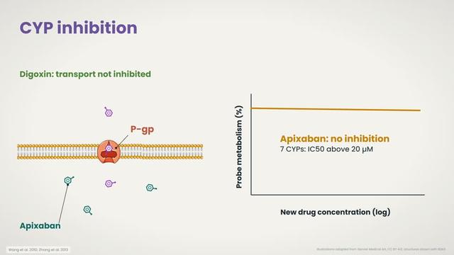 Apixaban in vitro