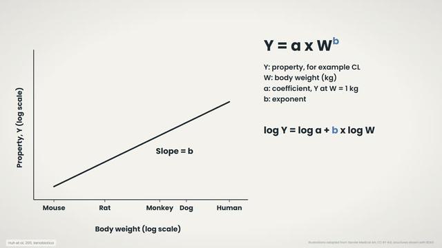 Allometry and the power equation