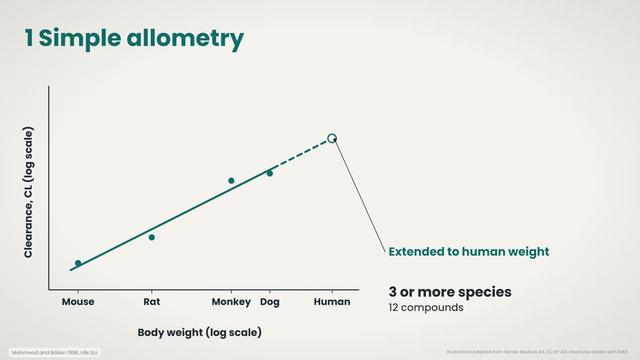 Simple allometry from several species