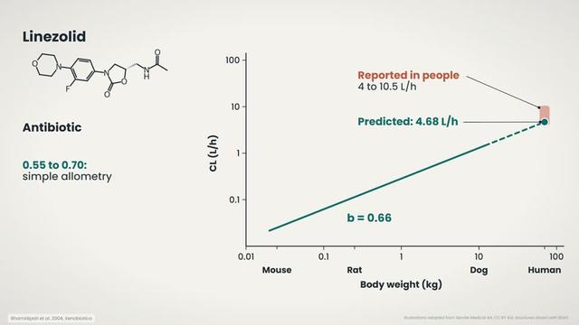 Two examples: linezolid