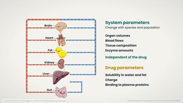 System parameters and drug parameters
