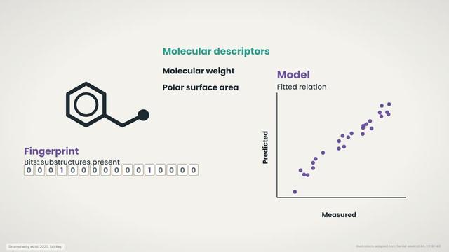 Descriptors, fingerprints and the model