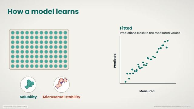 How a model learns an ADME endpoint