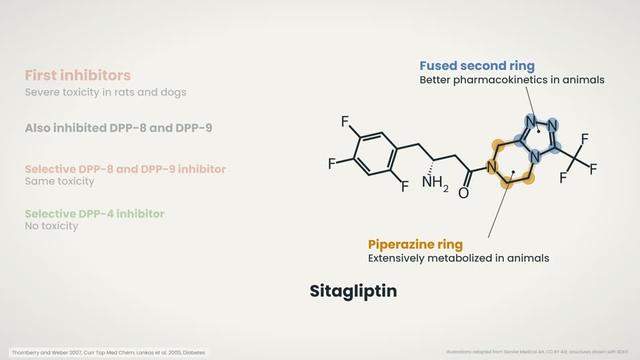 Selectivity and metabolism